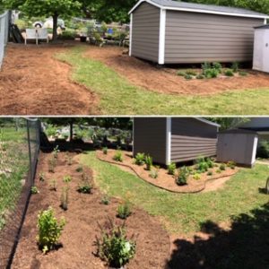 butterfly garden at Renewal